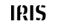 Iris iris.gif
